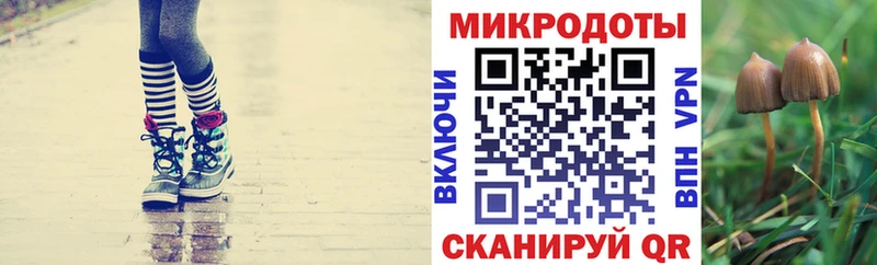 Псилоцибиновые грибы мухоморы  Купить где  Еманжелинск 